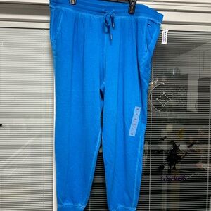 new with tags woman’s lightweight blue joggers 2X